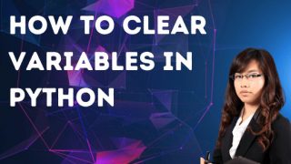 How to Clear Variables in Python