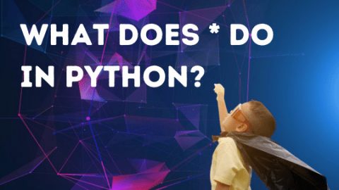 What does * do in Python?