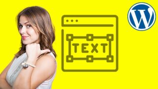 How to Create A Text Box in WordPress