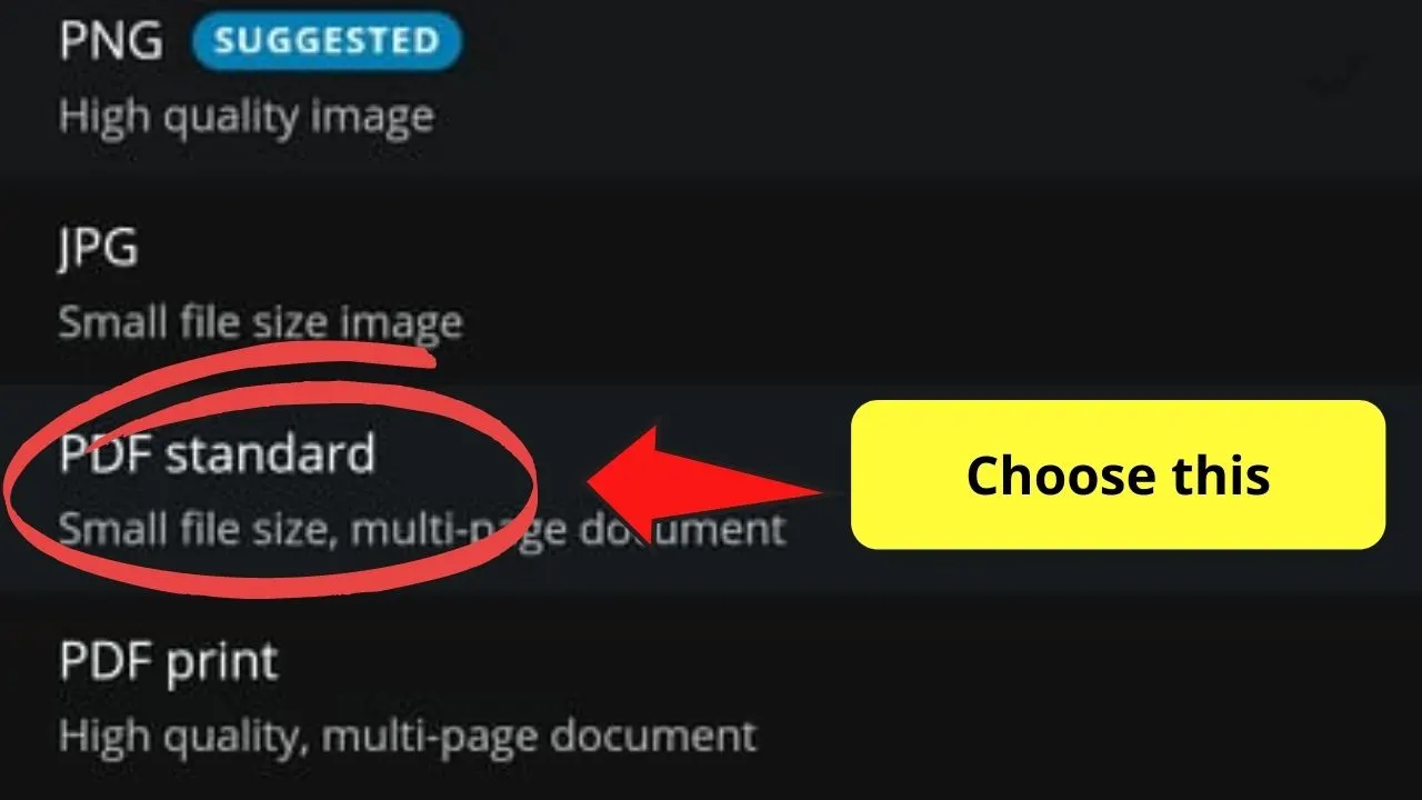 Choosing PDF Standard