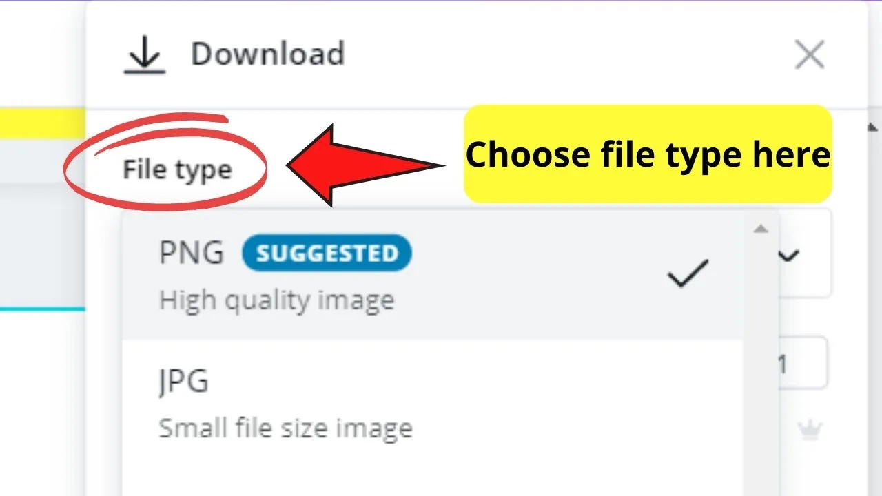 Select file type