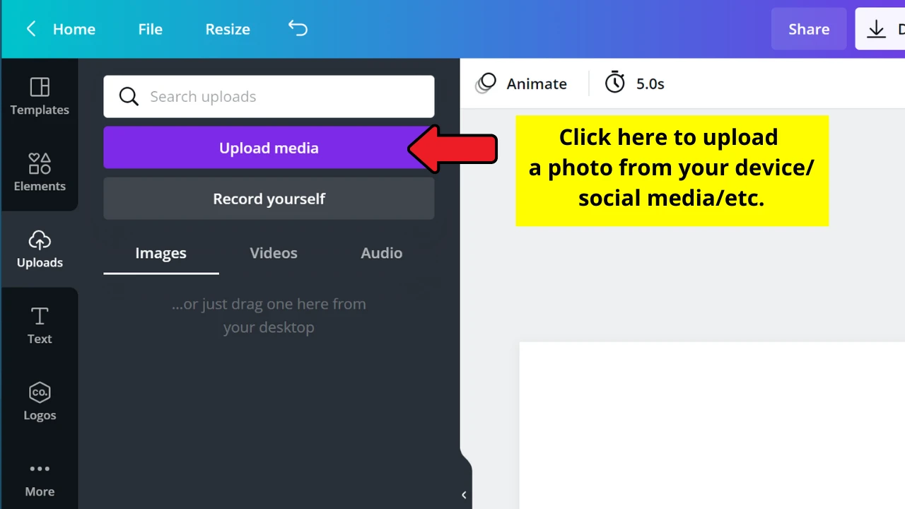 How to Change the Shape of a Photo in Canva ― Top Tips