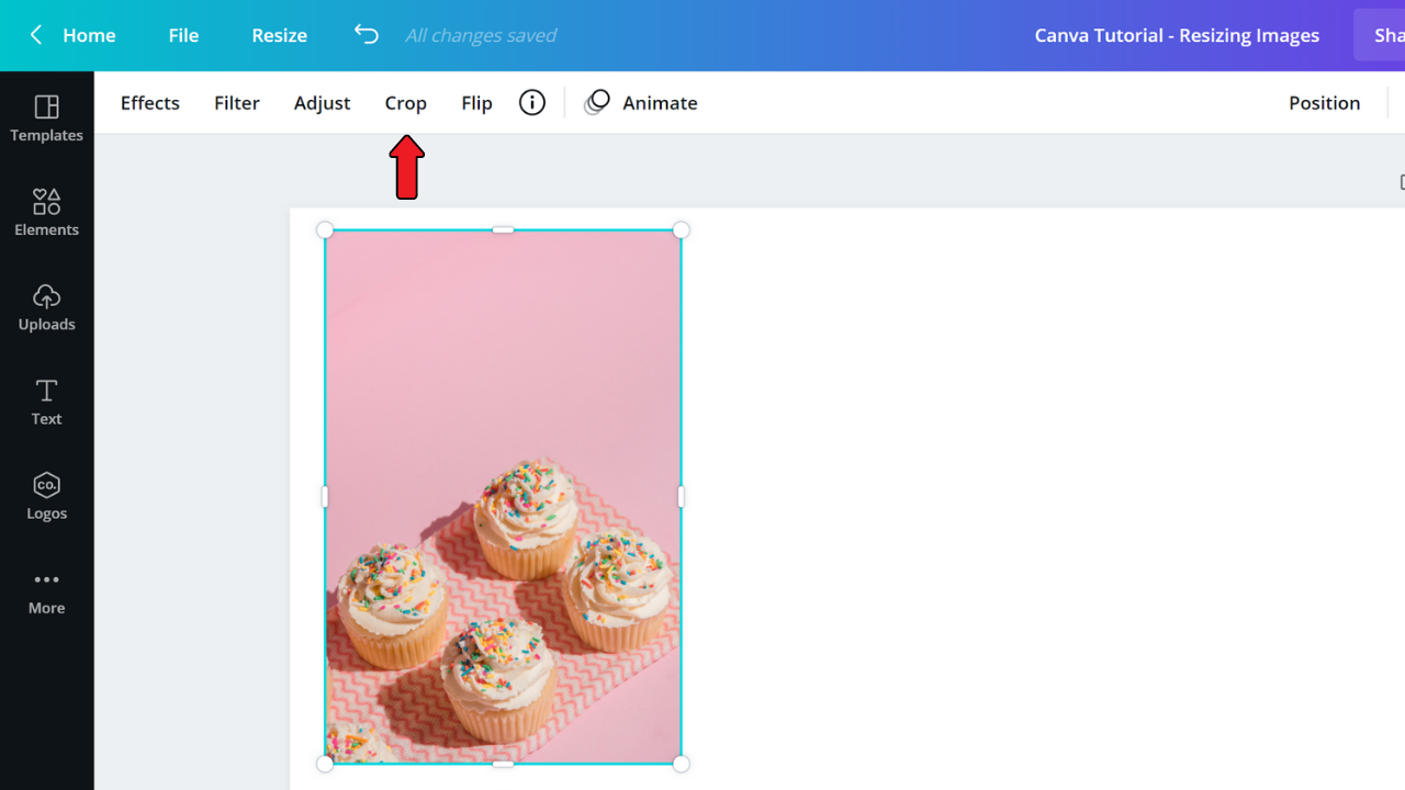 how-to-change-the-shape-of-a-photo-in-canva-top-tips