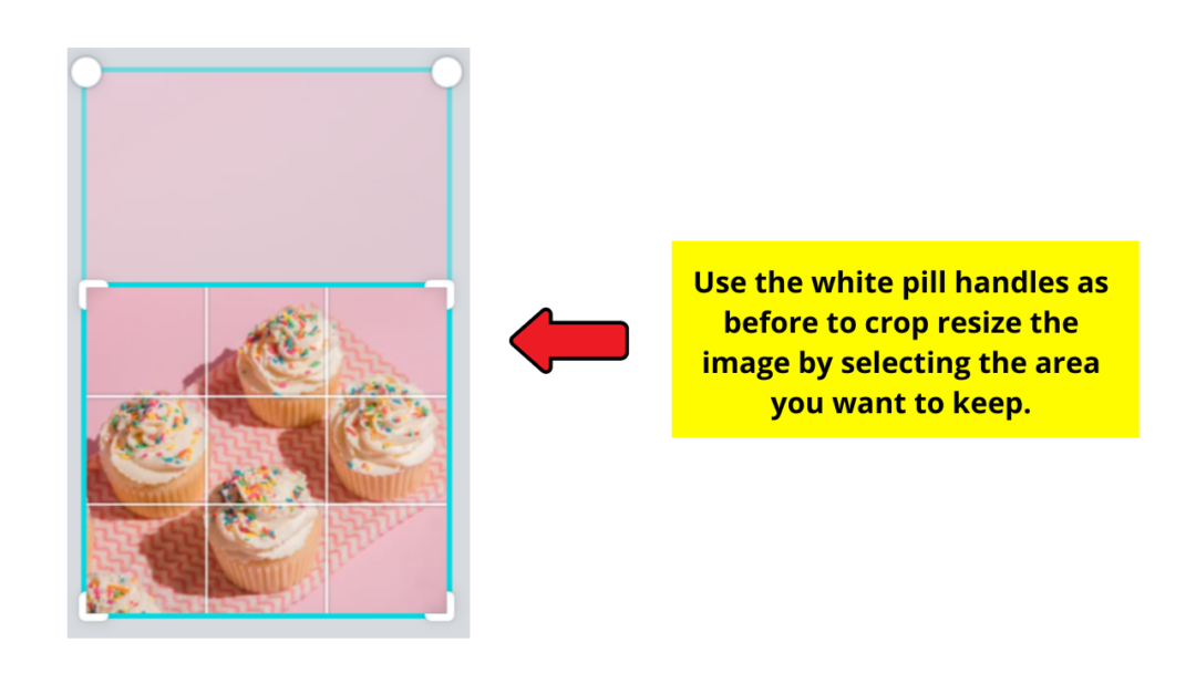 how-to-change-the-shape-of-a-photo-in-canva-top-tips