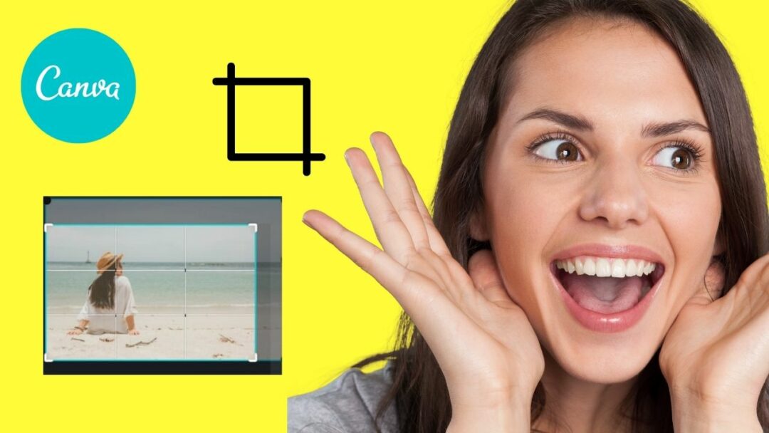 how-to-crop-in-canva-app-follow-these-simple-steps