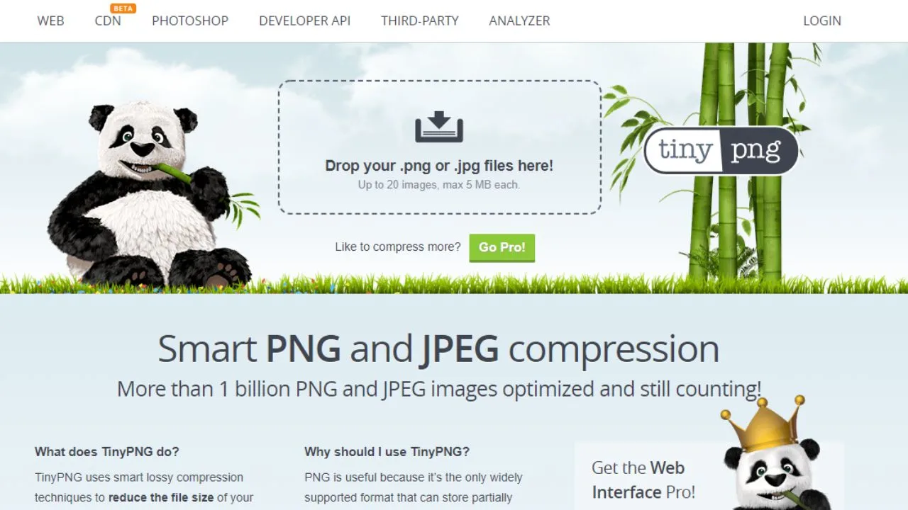 How to Reduce the File Size of PNG Canva Images When You’re a Free Account User with TinyPNG