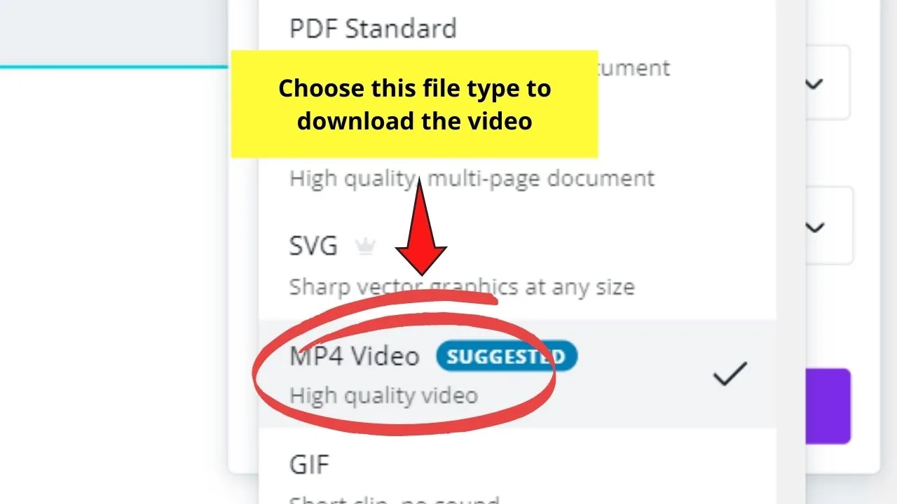 Choosing MP4 Video Format