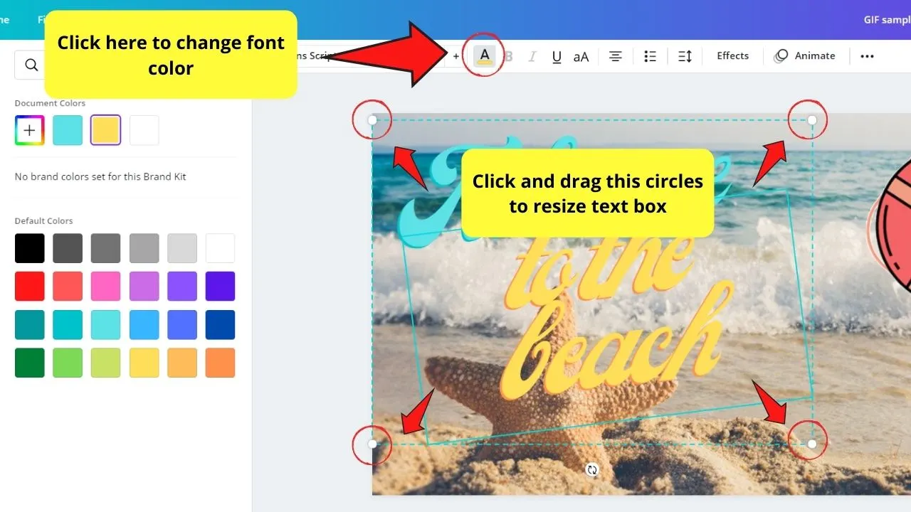 Resizing Text Box and Changing Font Color