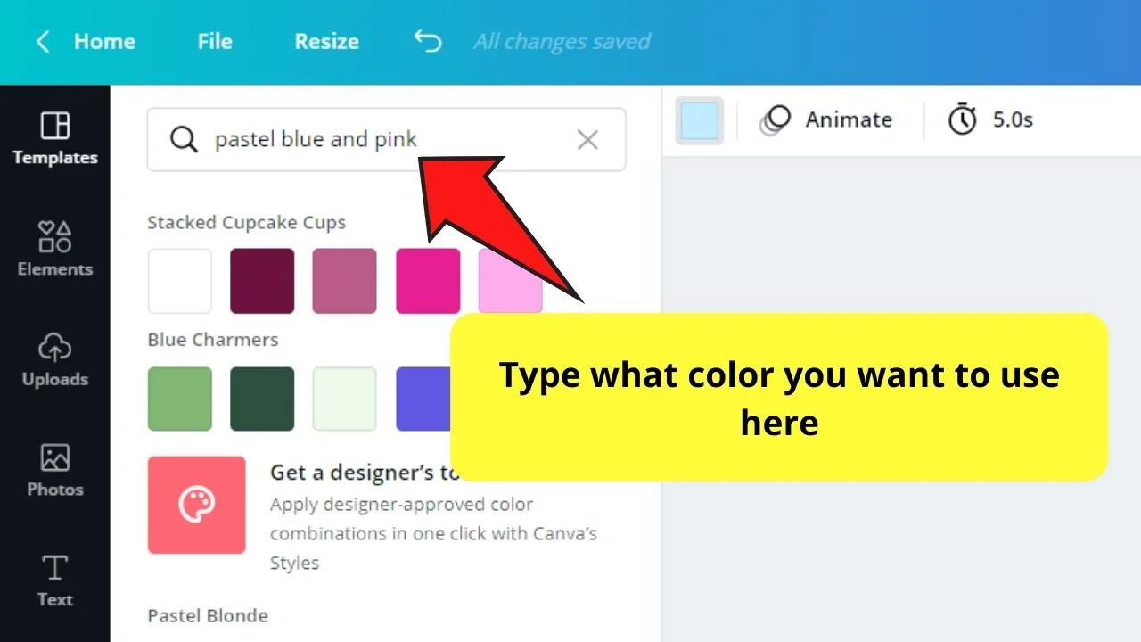 Typing Color on Search Bar