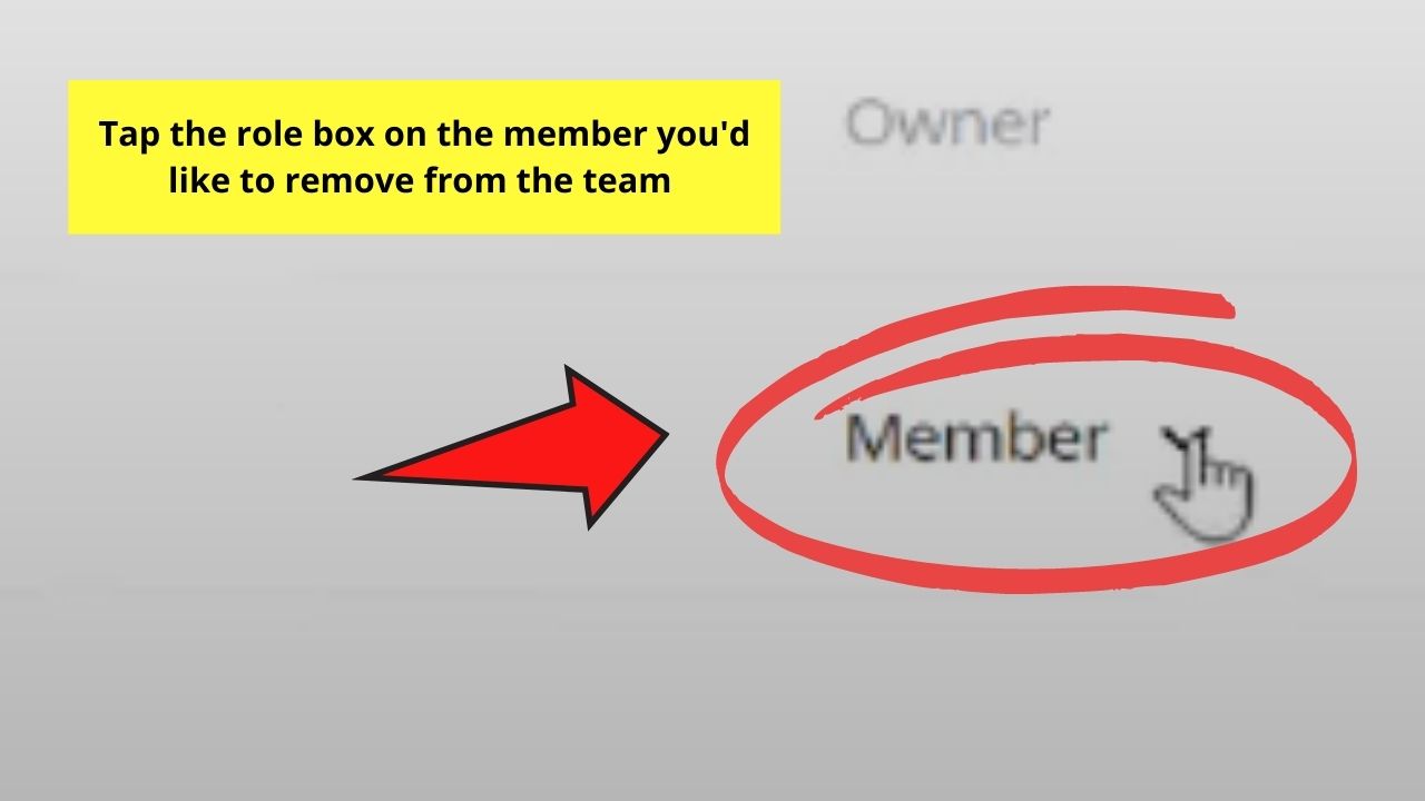 Clicking on Member's Role Box