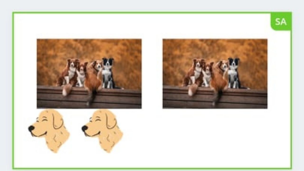 Duplicating Photos