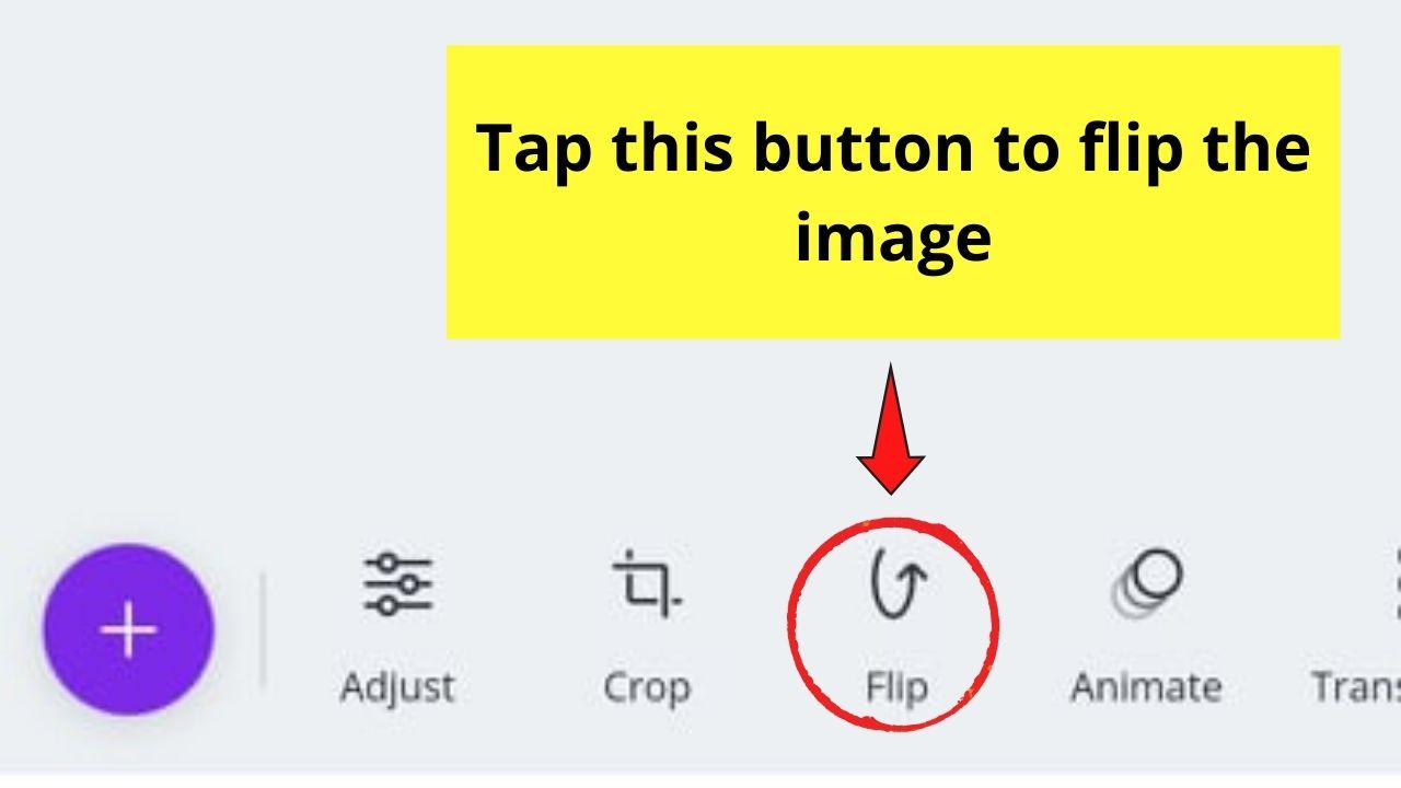 Flip Button