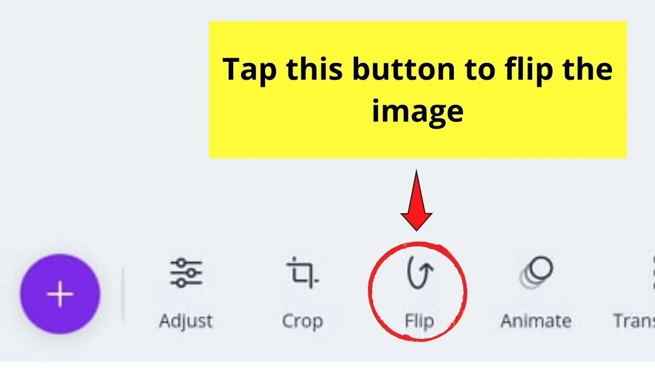 Flip Button
