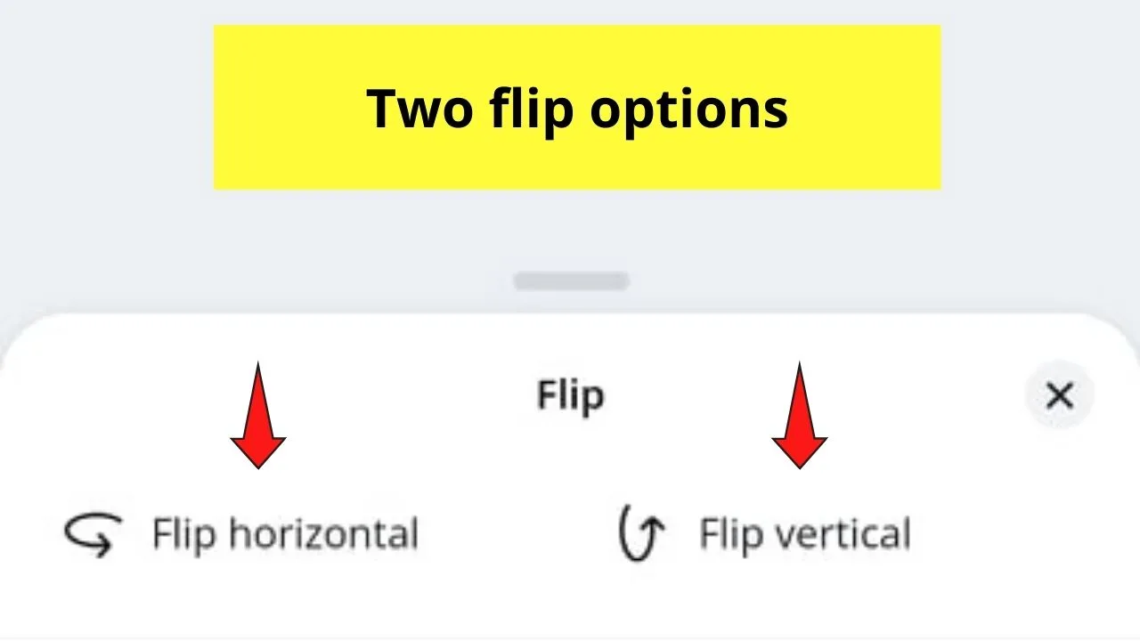 Flip Options in Canva