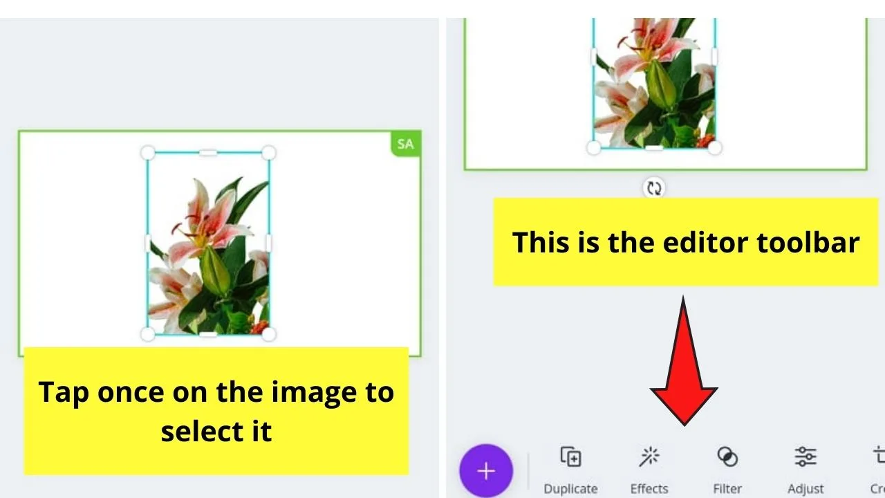 How to Remove the Background of an Image on the Canva Mobile App Step 3
