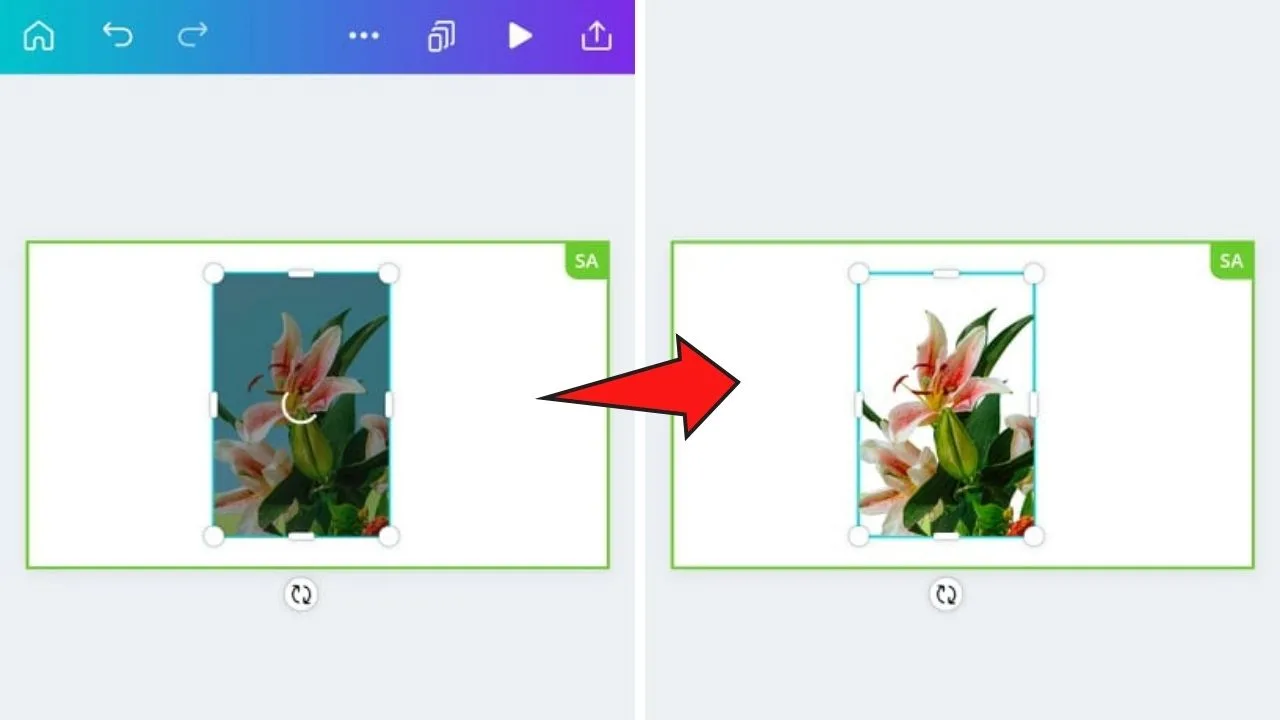 How to Remove the Background of an Image on the Canva Mobile App Step 5.1