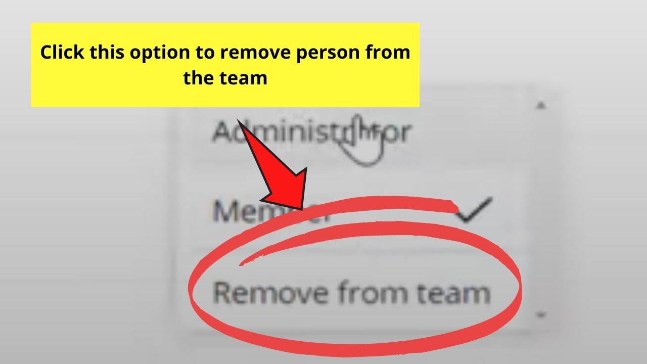 Removing Member from the Team