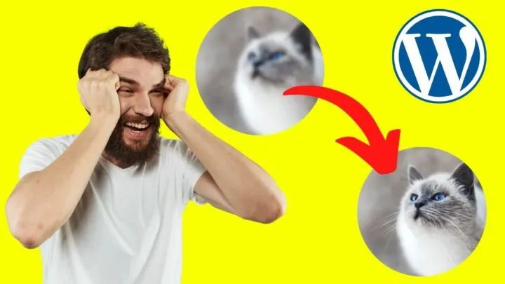 WordPress Images are Blurry — This Explains Why