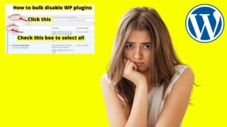 Can't Publish WordPress Website