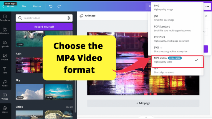 Choose the MP4 video format
