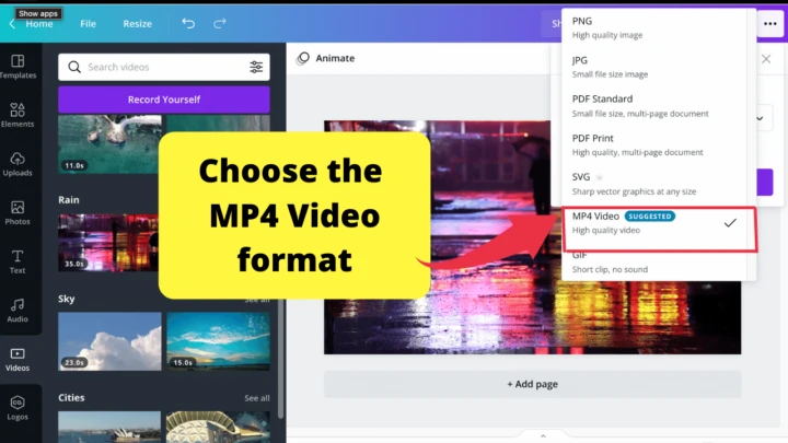 Choose the MP4 video format