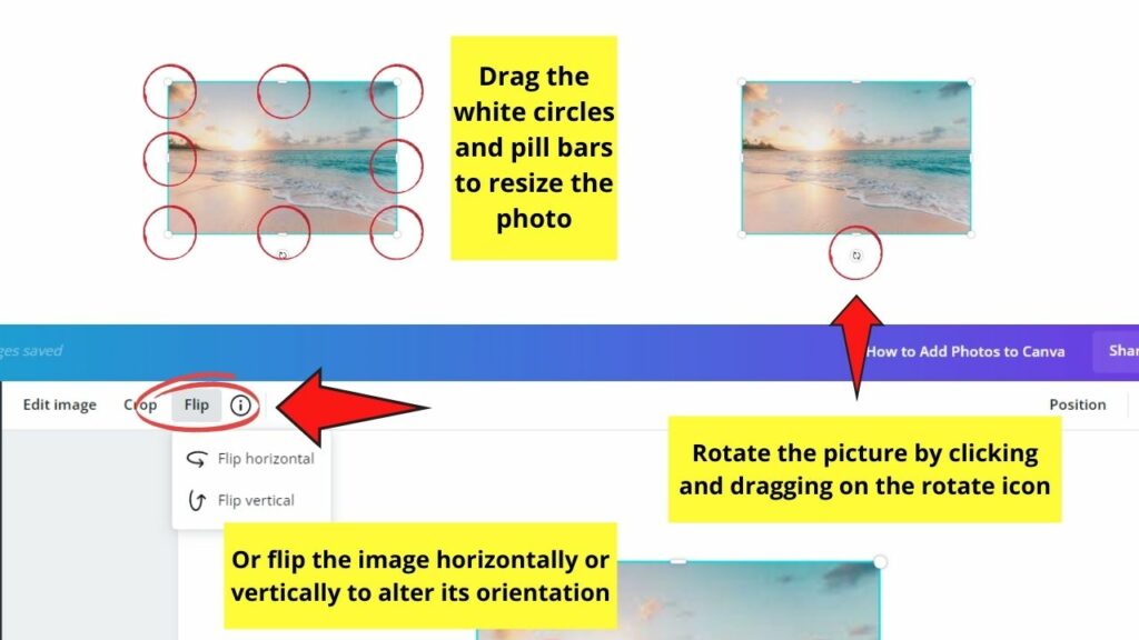 how-to-add-images-in-canva-step-by-step-instructions