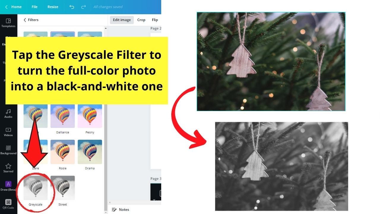 How to Make Images and Pictures Black and White in Canva Add Greyscale or Street Filter Step 5.1