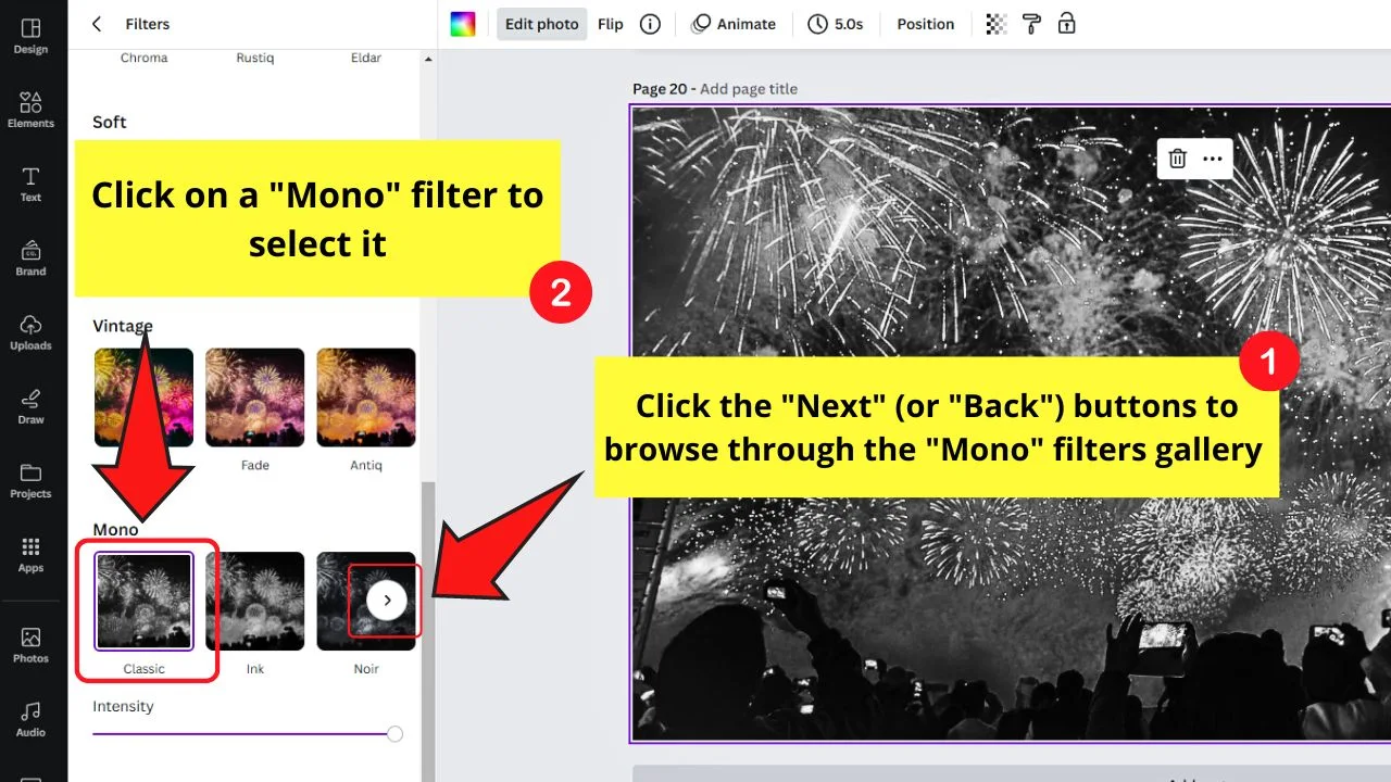 How to Make Images and Pictures Black and White in Canva by Adding Mono Filters Step 3