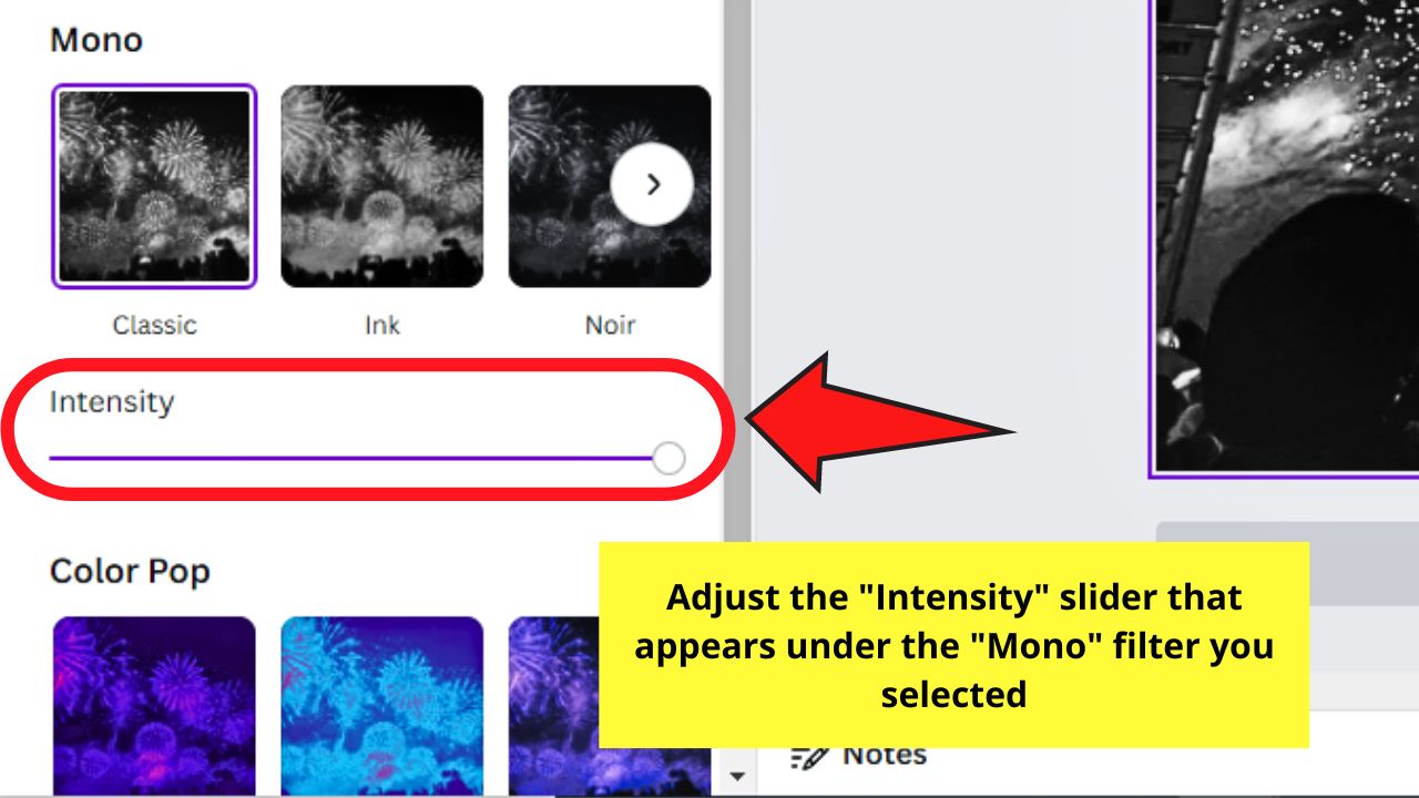 How to Make Images and Pictures Black and White in Canva by Adding Mono Filters Step 4