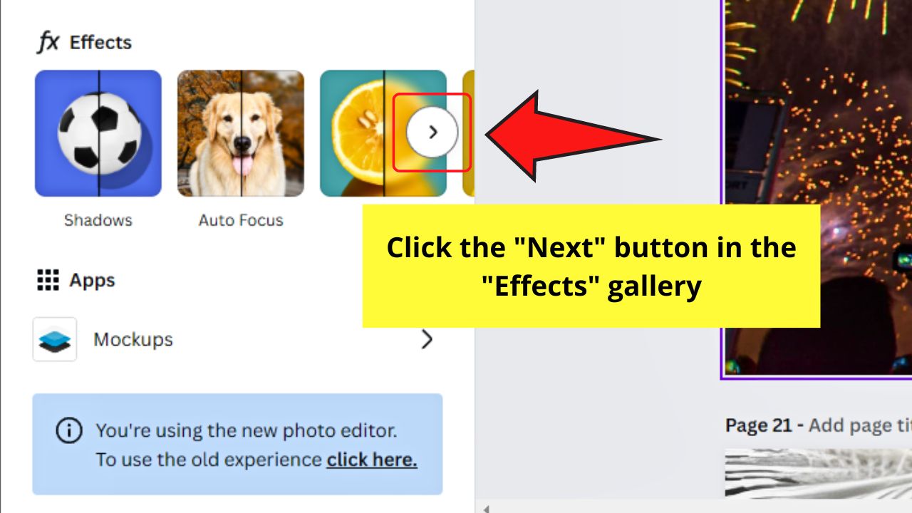 How to Make Images and Pictures Black and White in Canva by Using the Duotone Effect Step 2