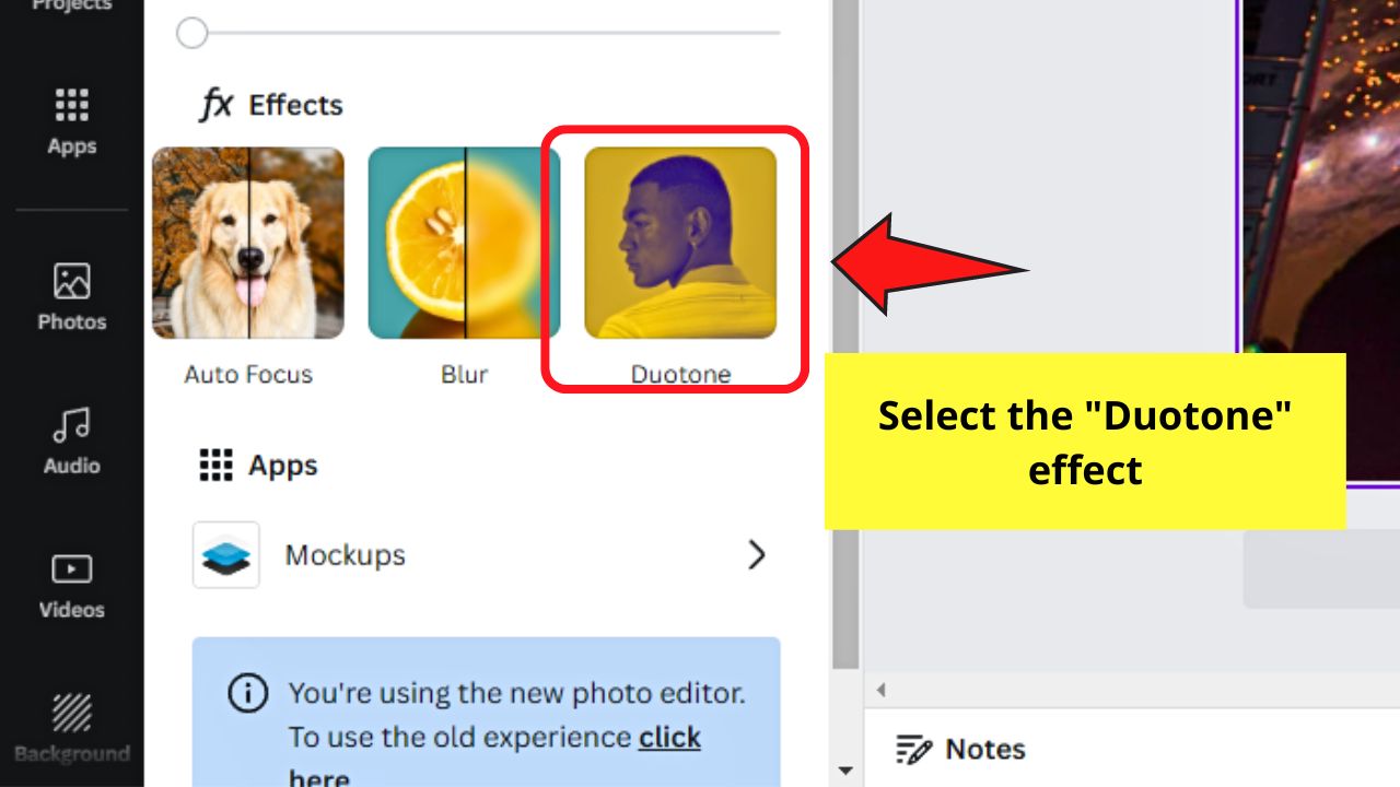 How to Make Images and Pictures Black and White in Canva by Using the Duotone Effect Step 3