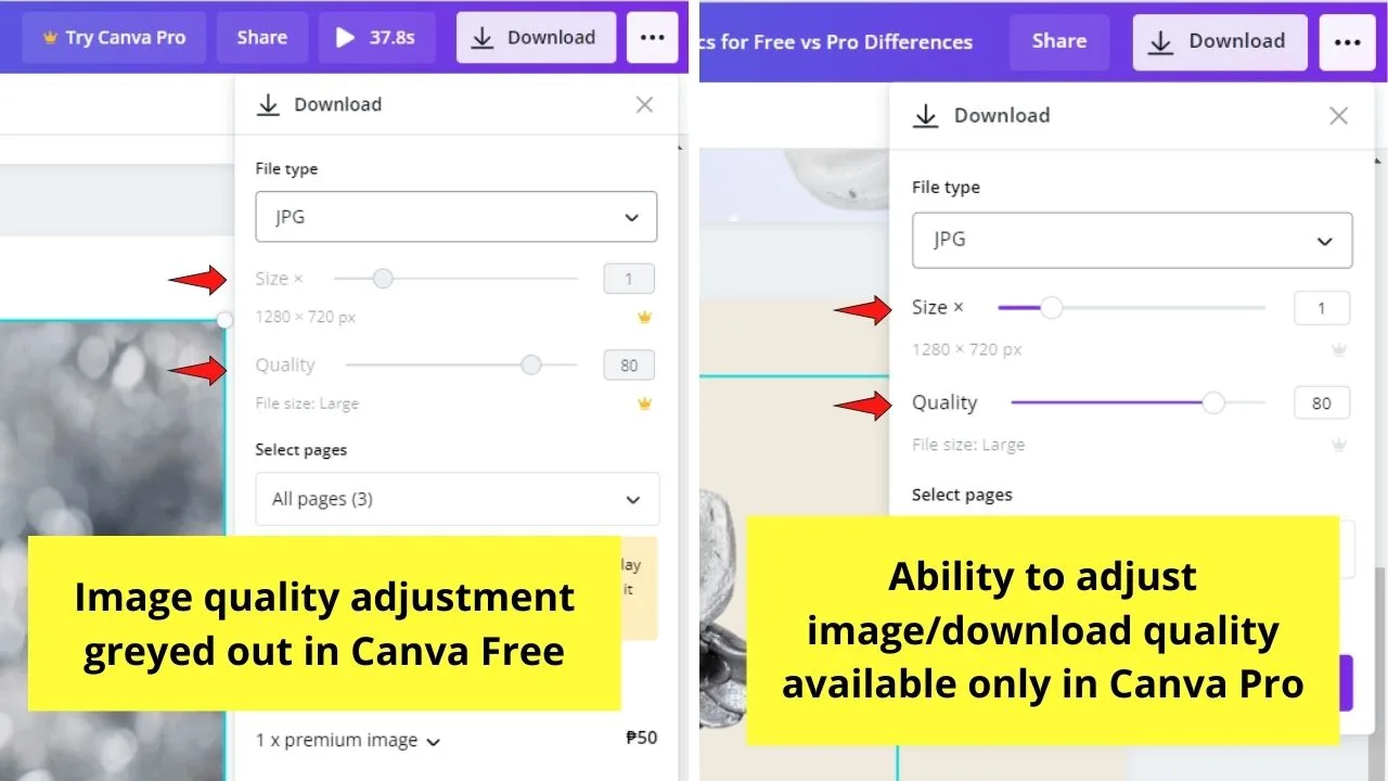 The 10 Key Differences between Canva Free and Canva Pro Photo Quality Customizations