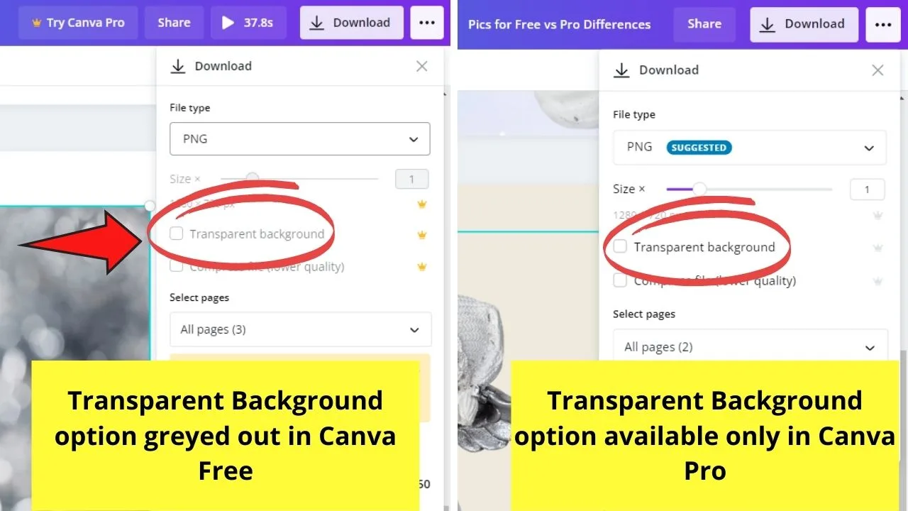 The 10 Key Differences between Canva Free and Canva Pro Transparent Background