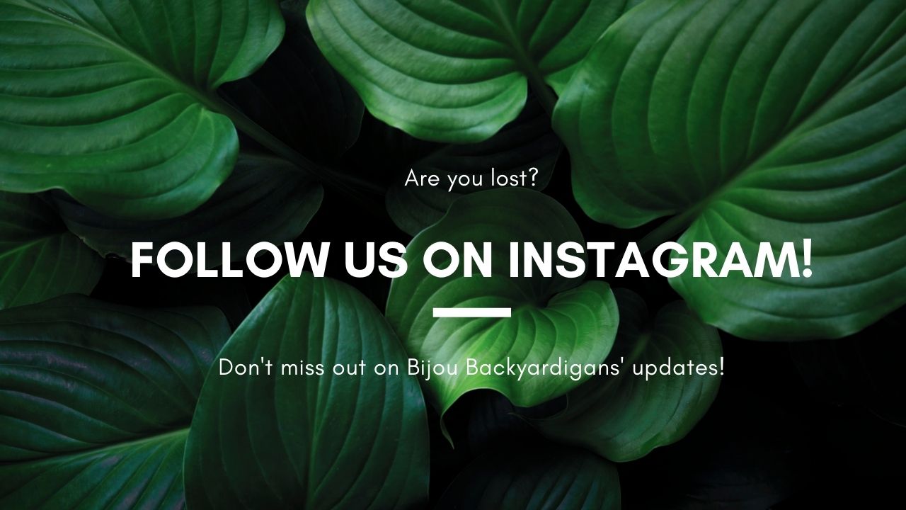The Best Canva Fonts for Instagram Glacial Indifference