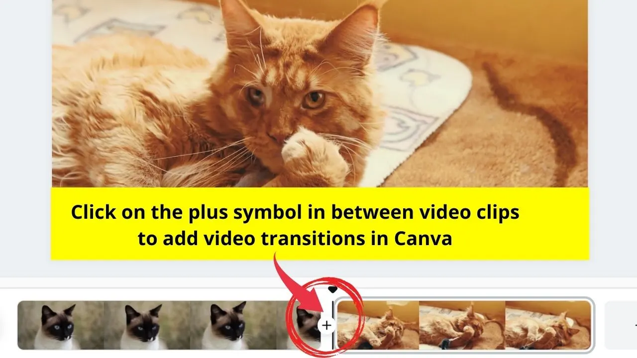 Add Video Transitions in Canva