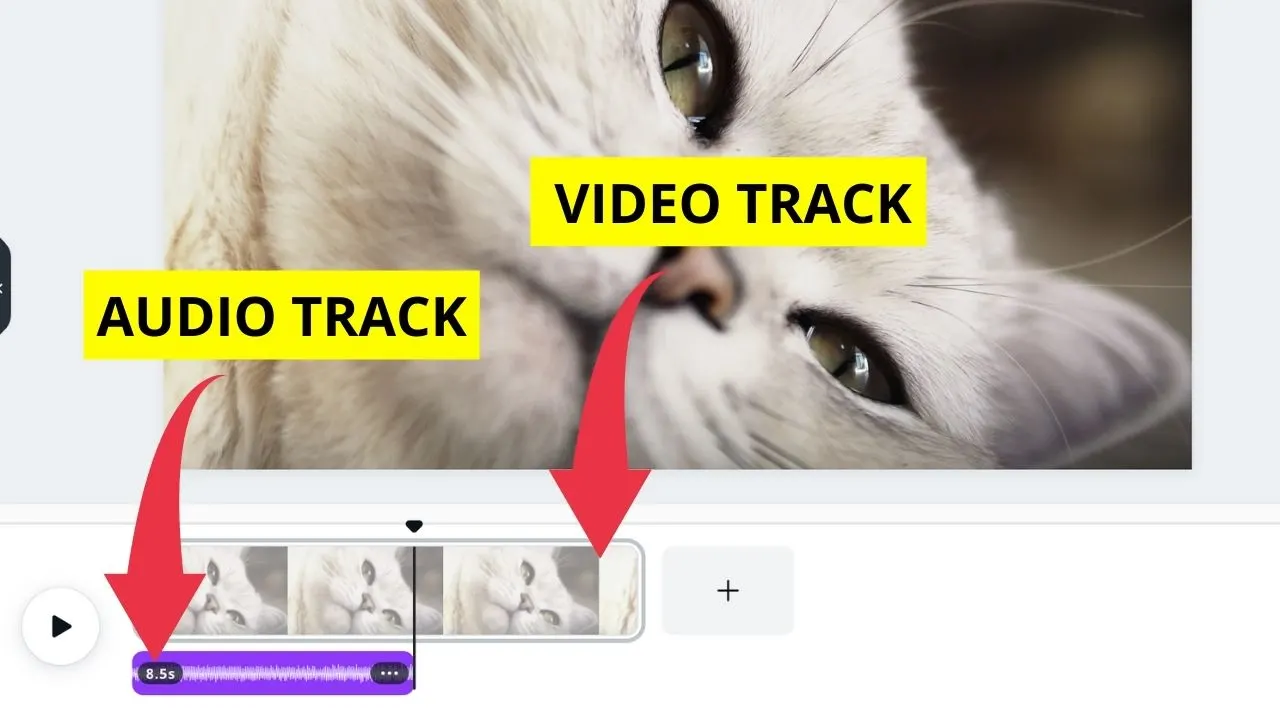 Canva Audio Track and Video Track