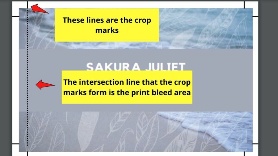 Print Bleed in Canva — Here's what You Need to Know