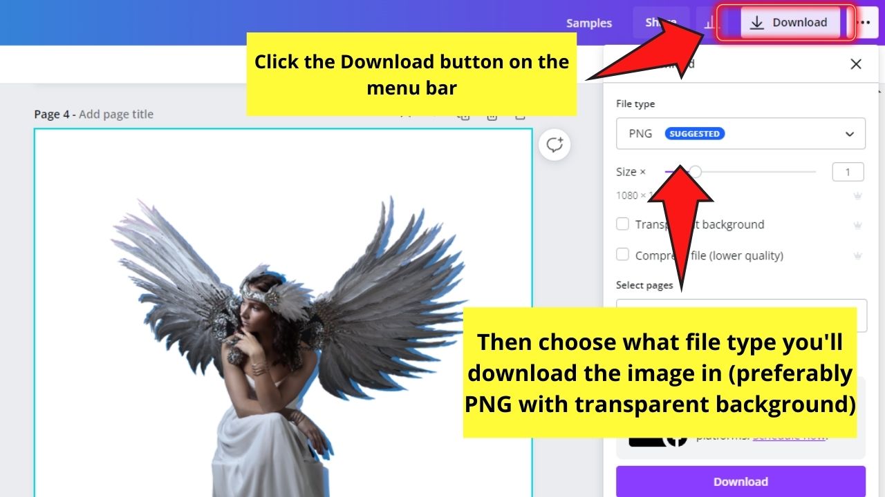 How to Create an Outline Around Your Photos in Canva Adding a Simple Outline Step 8