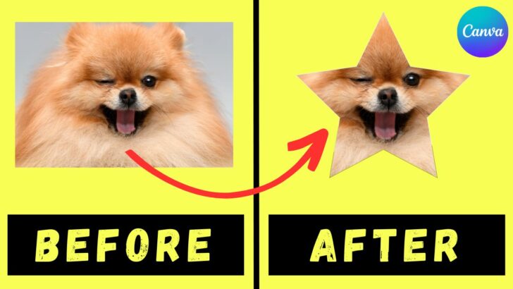 How to Put an Image into a Shape in Canva — Quick Guide