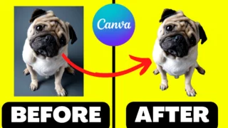 How to Remove the Background of a Photo in Canva (1)