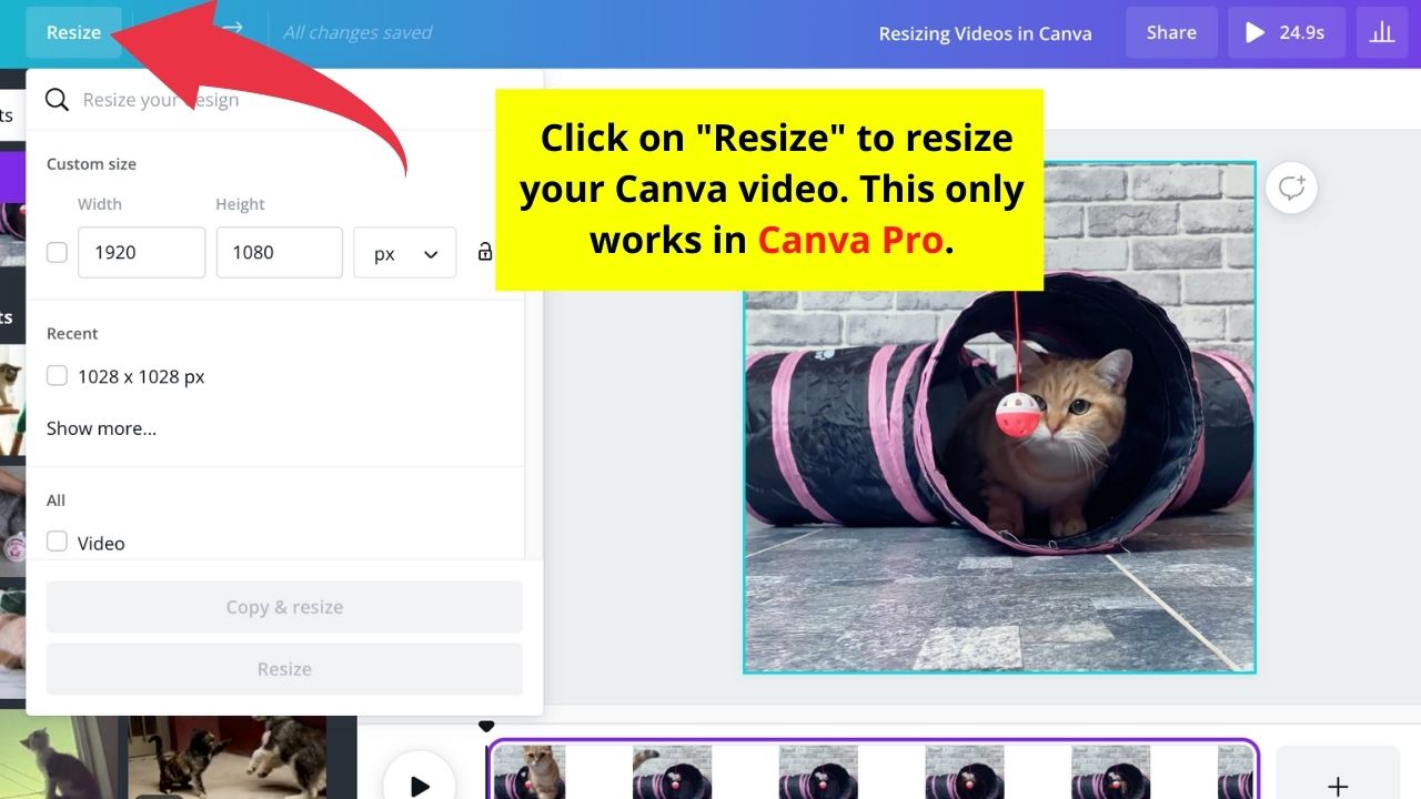 Resize Videos in Canva