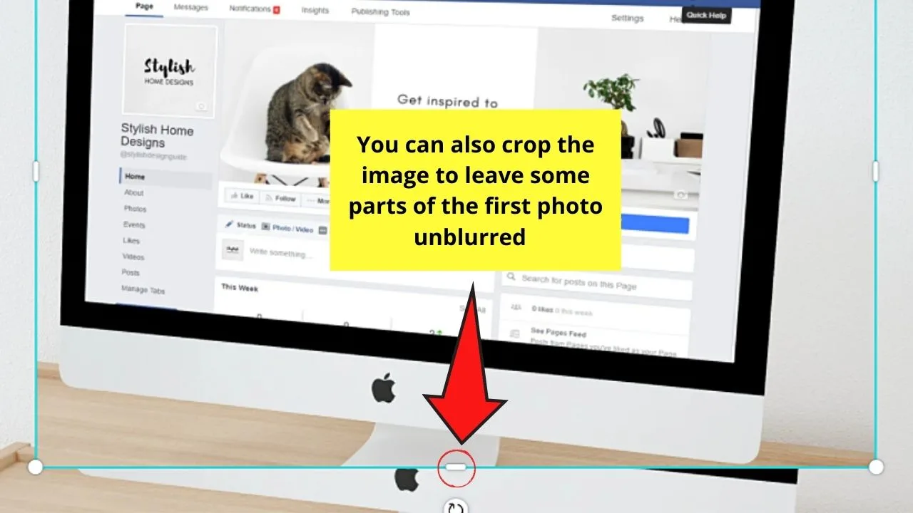 How to Blur Part of an Image in Canva Step 4.2