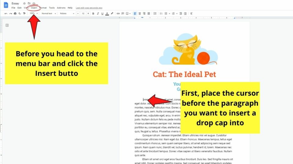 how-to-do-a-drop-cap-in-google-docs-step-by-step-guide