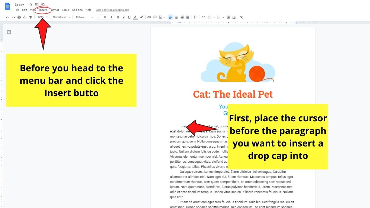 How to Do a Drop Cap in Google Docs Step 1.1