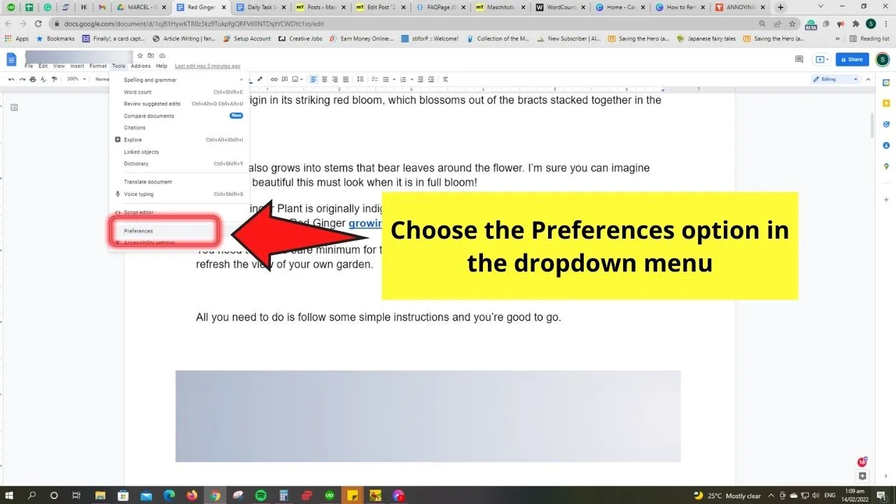 How to Remove a Hyperlink in Google Docs by Disabling Automatic Link Detection Step 2