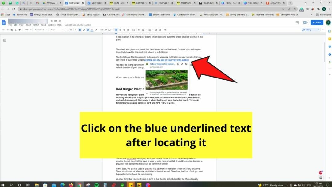 the-2-best-methods-to-remove-a-hyperlink-in-google-docs