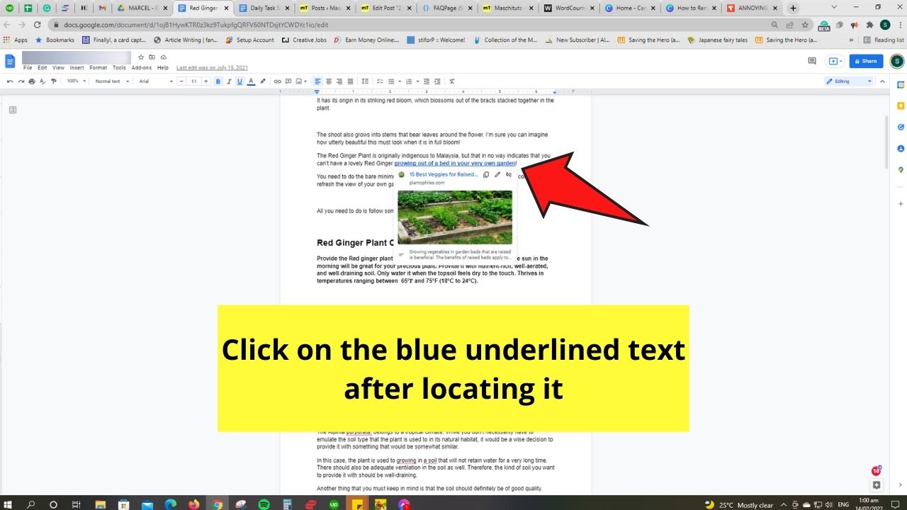 How to Remove a Hyperlink in Google Docs by Manual Removal Step 1