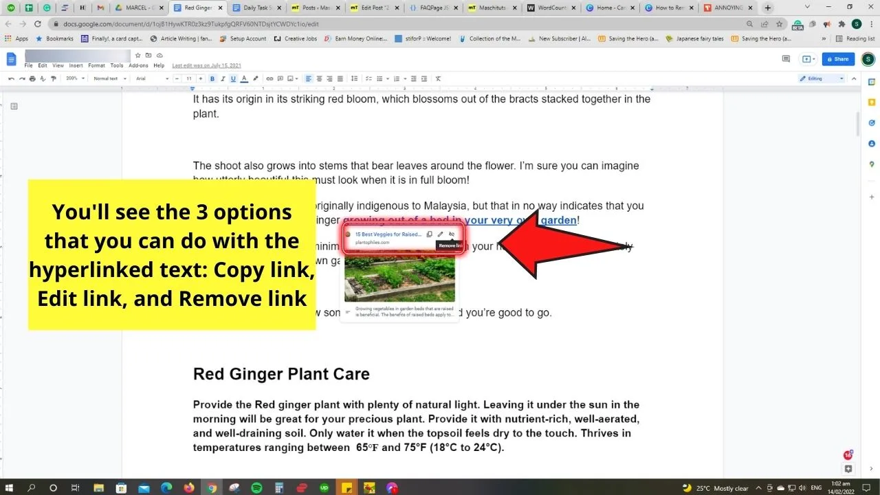 How to Remove a Hyperlink in Google Docs by Manual Removal Step 2