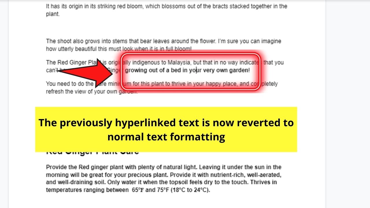 How to Remove a Hyperlink in Google Docs by Manual Removal Step 3.2