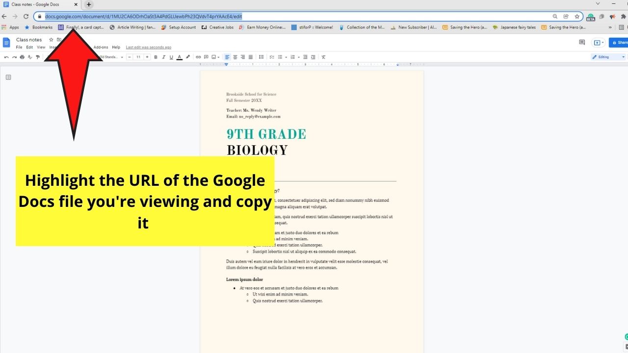How to View Two Pages Side by Side in Google Docs by Opening Multiple Windows Step 1.1